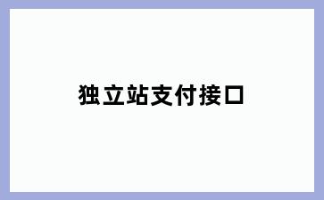 独立站支付接口