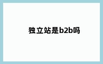 独立站是b2b吗