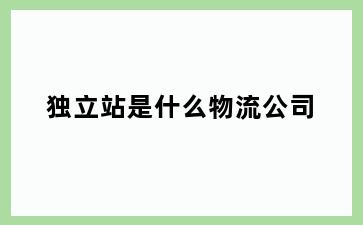 独立站是什么物流公司