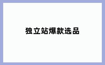 独立站爆款选品