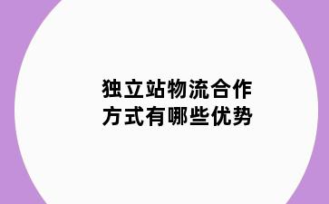 独立站物流合作方式有哪些优势