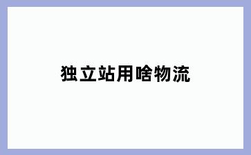独立站用啥物流
