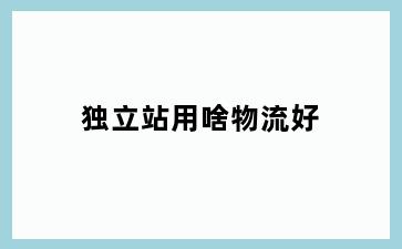 独立站用啥物流好