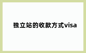 独立站的收款方式visa