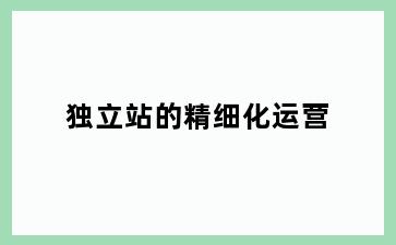 独立站的精细化运营