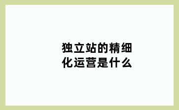 独立站的精细化运营是什么