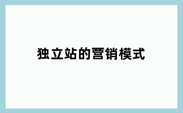 独立站的营销模式