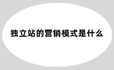 独立站的营销模式是什么