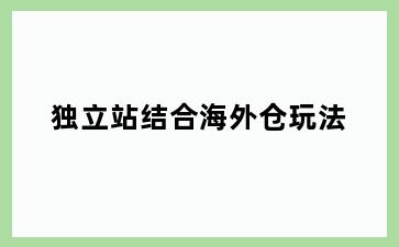 独立站结合海外仓玩法
