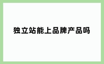 独立站能上品牌产品吗