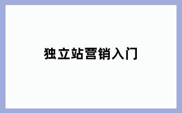独立站营销入门