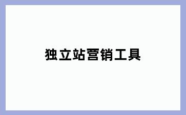 独立站营销工具