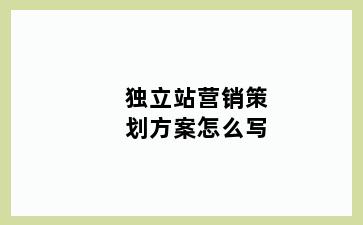 独立站营销策划方案怎么写