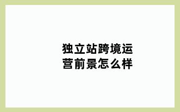 独立站跨境运营前景怎么样