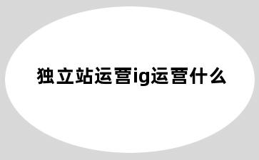 独立站运营ig运营什么