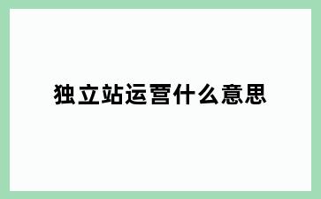独立站运营什么意思