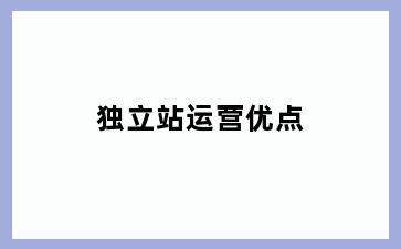 独立站运营优点
