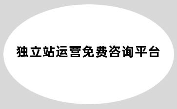独立站运营免费咨询平台