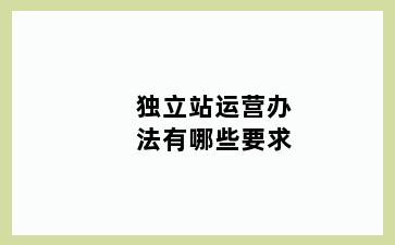 独立站运营办法有哪些要求