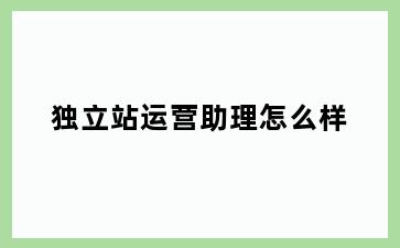 独立站运营助理怎么样