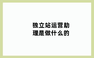 独立站运营助理是做什么的