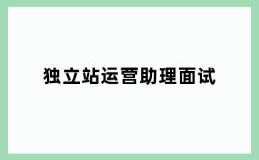 独立站运营助理面试