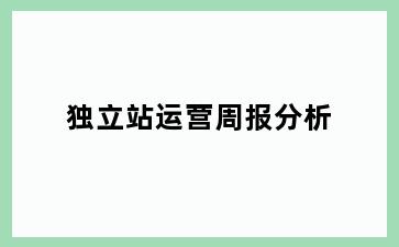 独立站运营周报分析