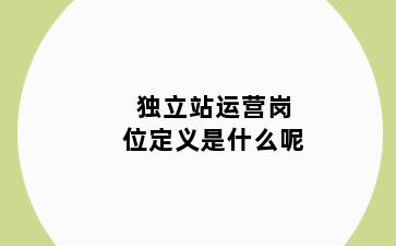 独立站运营岗位定义是什么呢
