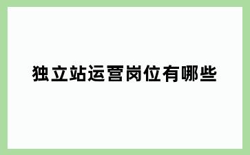 独立站运营岗位有哪些