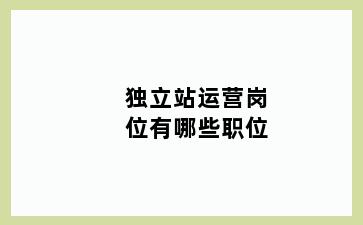 独立站运营岗位有哪些职位