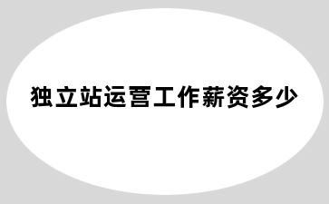 独立站运营工作薪资多少