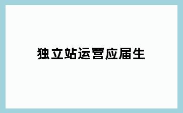 独立站运营应届生