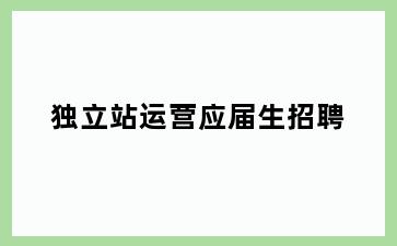 独立站运营应届生招聘