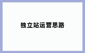 独立站运营思路