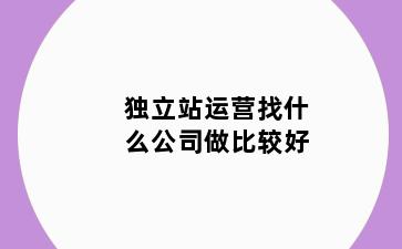 独立站运营找什么公司做比较好
