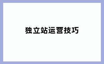 独立站运营技巧