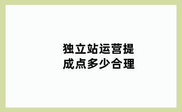 独立站运营提成点多少合理