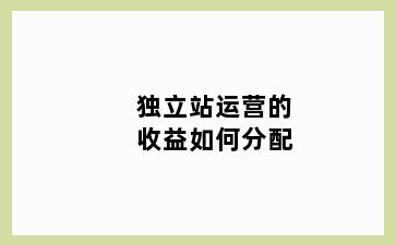 独立站运营的收益如何分配