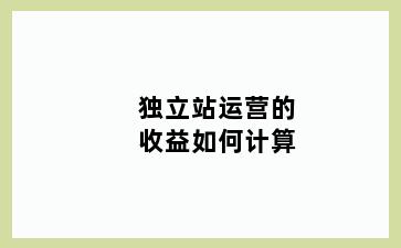 独立站运营的收益如何计算