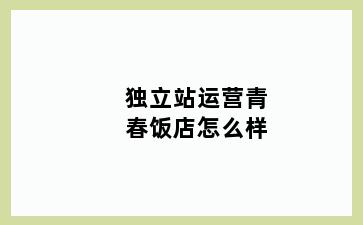 独立站运营青春饭店怎么样