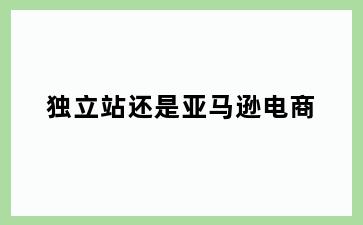 独立站还是亚马逊电商