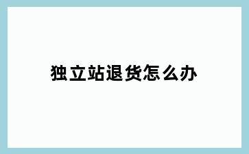 独立站退货怎么办