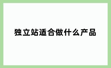独立站适合做什么产品