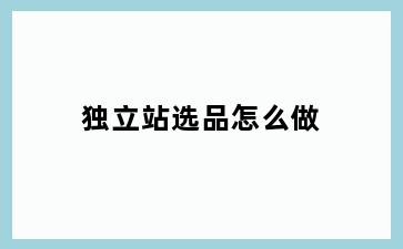 独立站选品怎么做