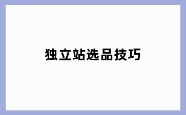 独立站选品技巧