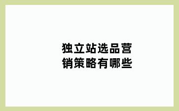 独立站选品营销策略有哪些