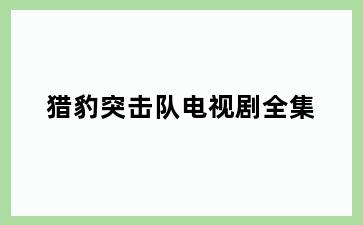 猎豹突击队电视剧全集