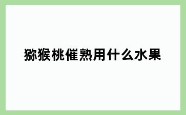 猕猴桃催熟用什么水果