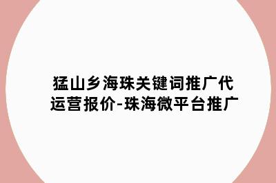 猛山乡海珠关键词推广代运营报价-珠海微平台推广