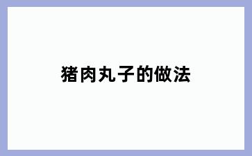 猪肉丸子的做法